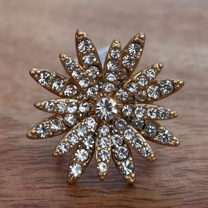 New J. Crew ring with beautiful design